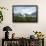 Wandering Albatross at Nesting Site on Albatross Island-Darrell Gulin-Framed Photographic Print displayed on a wall