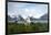 Wandering Albatross at Nesting Site on Albatross Island-Darrell Gulin-Framed Photographic Print