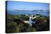 Wandering Albatross (Diomedea Exulans) Courtship Display-null-Stretched Canvas