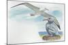 Wandering Albatross Diomedea Exulans with Chick-null-Mounted Giclee Print