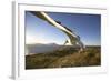 Wandering Albatross on South Georgia Island-Paul Souders-Framed Photographic Print