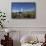 Wandering Albatrosses on South Georgia Island-null-Framed Stretched Canvas displayed on a wall