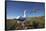 Wandering Albatrosses on South Georgia Island-null-Framed Stretched Canvas