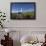 Wandering Albatrosses on South Georgia Island-null-Framed Photographic Print displayed on a wall