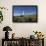 Wandering Albatrosses on South Georgia Island-null-Framed Photographic Print displayed on a wall