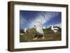 Wandering Albatrosses on South Georgia Island-null-Framed Photographic Print