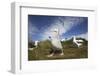 Wandering Albatrosses on South Georgia Island-null-Framed Photographic Print