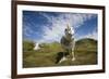 Wandering Albatrosses-null-Framed Premium Photographic Print