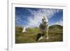 Wandering Albatrosses-null-Framed Photographic Print