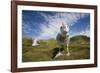 Wandering Albatrosses-null-Framed Photographic Print