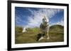 Wandering Albatrosses-null-Framed Photographic Print