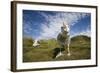 Wandering Albatrosses-null-Framed Photographic Print