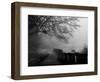 Wandering, Dreaming-Sharon Wish-Framed Photographic Print