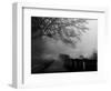 Wandering, Dreaming-Sharon Wish-Framed Photographic Print