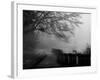 Wandering, Dreaming-Sharon Wish-Framed Photographic Print