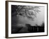 Wandering, Dreaming-Sharon Wish-Framed Photographic Print