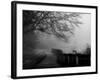 Wandering, Dreaming-Sharon Wish-Framed Photographic Print