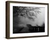 Wandering, Dreaming-Sharon Wish-Framed Photographic Print