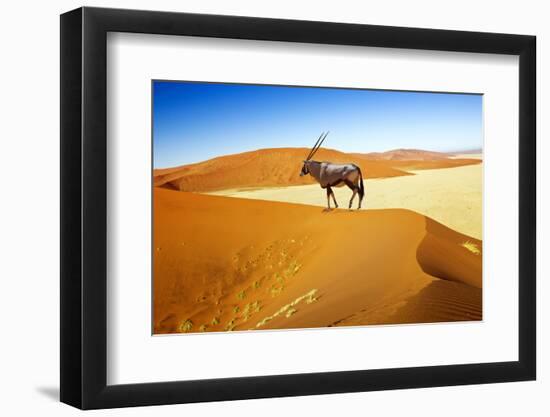 Wandering Dune of Sossuvlei in Namibia with Oryx Walking on It-mezzotint-Framed Photographic Print