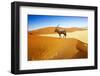 Wandering Dune of Sossuvlei in Namibia with Oryx Walking on It-mezzotint-Framed Photographic Print