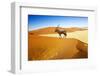 Wandering Dune of Sossuvlei in Namibia with Oryx Walking on It-mezzotint-Framed Photographic Print