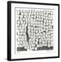 Wandering Grid 2-Lynn Basa-Framed Limited Edition