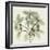 Wandering Jew-Albert Koetsier-Framed Photographic Print