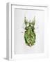 Wandering Leaf, Phyllium Giganteum, , Green, Female, Animal, Insect, Ghost Locust, Locust-Hawi-Framed Photographic Print