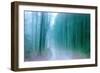 Wandering Memories-Jacob Berghoef-Framed Photographic Print