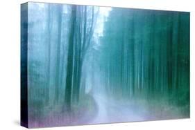 Wandering Memories-Jacob Berghoef-Stretched Canvas