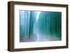 Wandering Memories-Jacob Berghoef-Framed Photographic Print