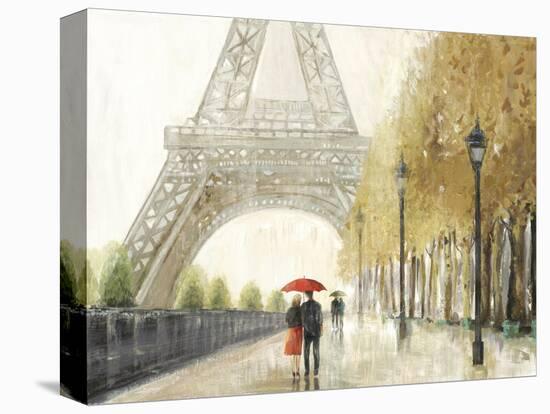 Wandering Paris-Allison Pearce-Stretched Canvas