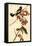 Wandering Rice Bird-John James Audubon-Framed Stretched Canvas