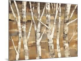 Wandering Through the Birches III-Albena Hristova-Mounted Art Print