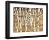 Wandering Through the Birches III-Albena Hristova-Framed Art Print