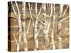 Wandering Through the Birches III-Albena Hristova-Stretched Canvas