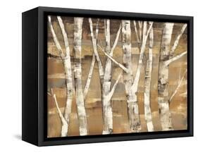 Wandering Through the Birches III-Albena Hristova-Framed Stretched Canvas