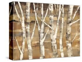 Wandering Through the Birches III-Albena Hristova-Stretched Canvas