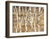 Wandering Through the Birches III-Albena Hristova-Framed Art Print
