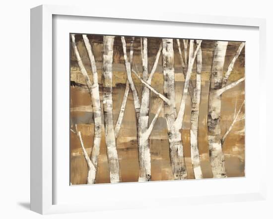 Wandering Through the Birches III-Albena Hristova-Framed Art Print