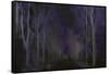 Wandering Through The Night-Jacob Berghoef-Framed Stretched Canvas