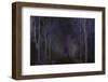 Wandering Through The Night-Jacob Berghoef-Framed Photographic Print