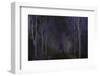 Wandering Through The Night-Jacob Berghoef-Framed Photographic Print