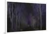 Wandering Through The Night-Jacob Berghoef-Framed Photographic Print