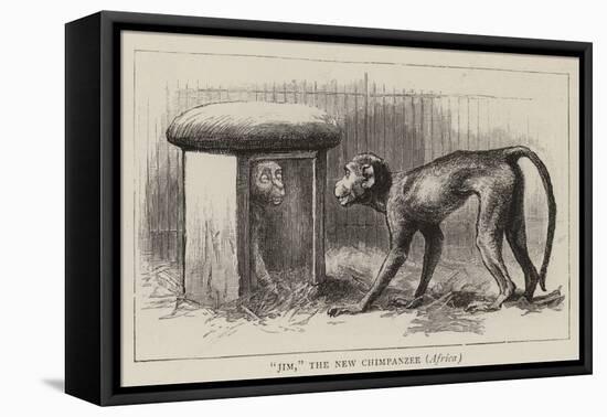 Wanderings in the Zoo-John Charles Dollman-Framed Stretched Canvas