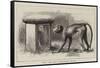 Wanderings in the Zoo-John Charles Dollman-Framed Stretched Canvas