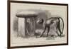 Wanderings in the Zoo-John Charles Dollman-Framed Giclee Print