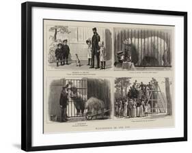 Wanderings in the Zoo-John Charles Dollman-Framed Giclee Print