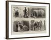 Wanderings in the Zoo-John Charles Dollman-Framed Giclee Print