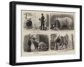 Wanderings in the Zoo-John Charles Dollman-Framed Giclee Print